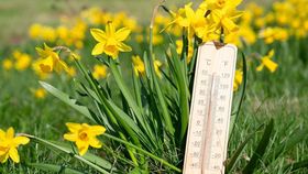 Vremea în weekendul 15 - 16 martie 2025. ANM anunță temperaturi RECORD